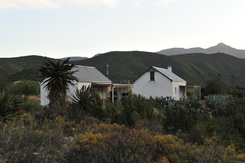 Matjiesvlei Guestfarm Calitzdorp Exterior foto
