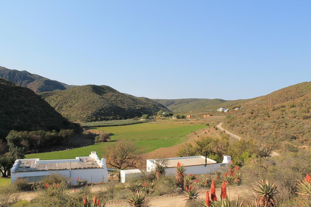 Matjiesvlei Guestfarm Calitzdorp Exterior foto