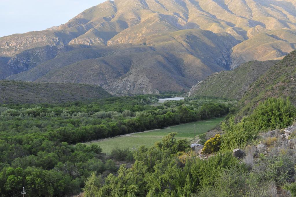 Matjiesvlei Guestfarm Calitzdorp Exterior foto